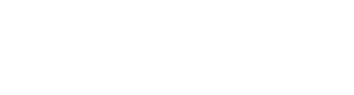 Wordmark white